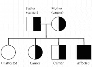 CAH genetics 