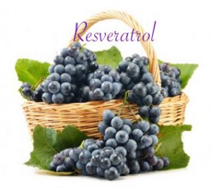 basket-of-grapes-resveratrol-zendocrinology